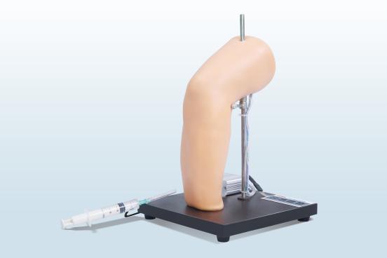 肘關(guān)節腔穿刺訓練模型
